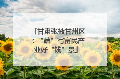 甘肃张掖甘州区：“蔬”写富民产业好“钱”景